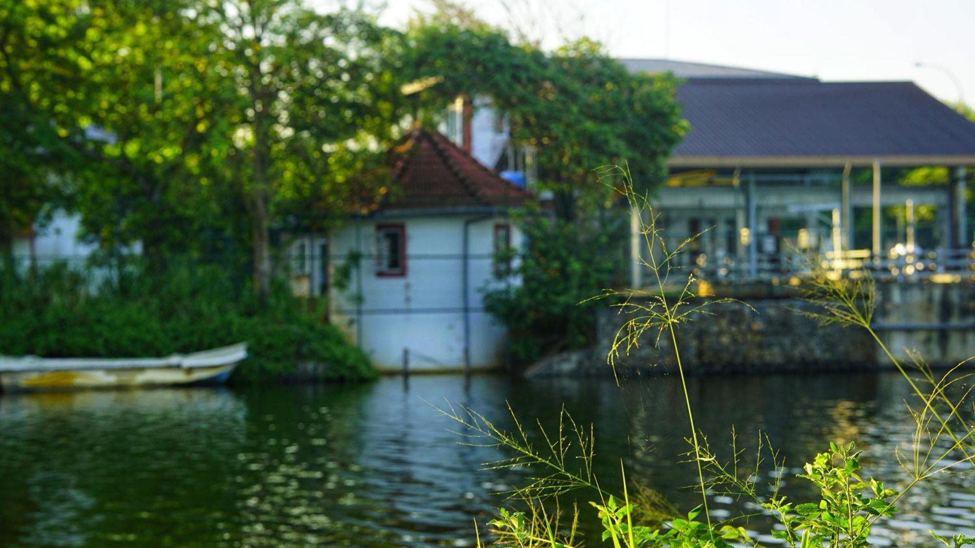 Lake Island Home Stay Dambulla Exterior foto